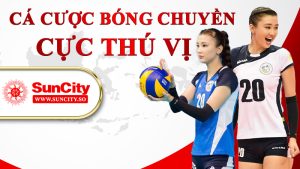 Cá cược bóng chuyền cực thú vị
