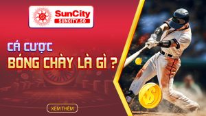 Cá cược bóng chày là gì