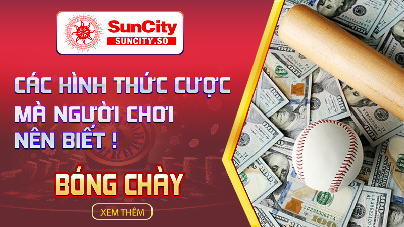 Các hình thức cược bóng chày mà người chơi nên biết