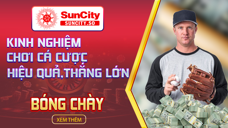 Kinh nghiệm chơi cá cược bóng chày hiệu quả và thắng lớn