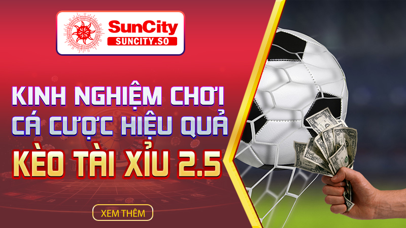Kinh nghiệm chơi cá cược kèo tài xỉu 2.5 hiệu quả cao