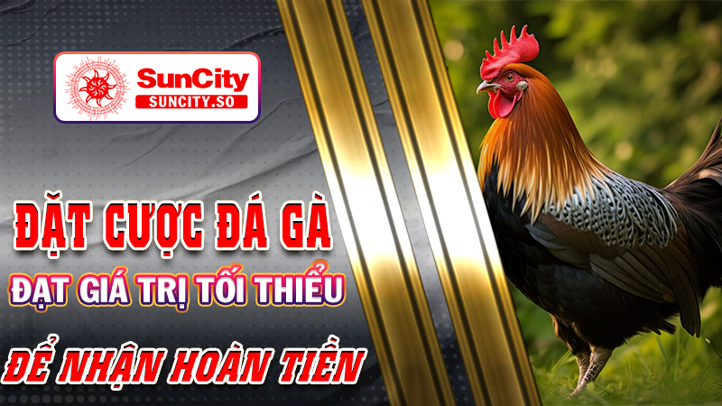 Đặt cược đá gà đạt giá trị tối thiểu để nhận hoàn tiền