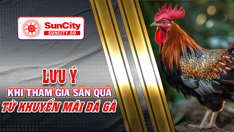 Lưu ý khi tham gia săn quà từ khuyến mãi đá gà