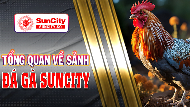 Tổng quan về sảnh đá gà của KUBET