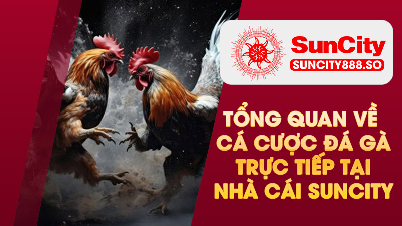 Kinh nghiệm chơi tại sòng bài Casino Campuchia cho anh em tân thủ