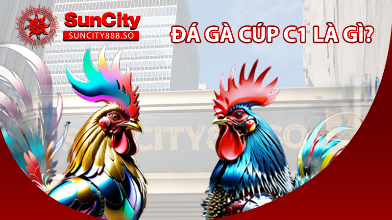 Đá gà cúp c1 là gì?