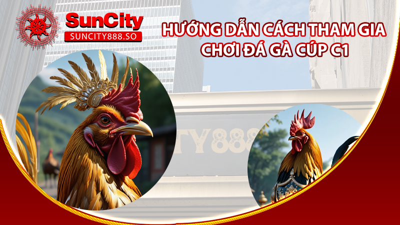 Hướng dẫn cách tham gia chơi đá gà Cúp c1