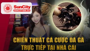 Chiến thuật đá gà trực tiếp tại nhà cái KUBET