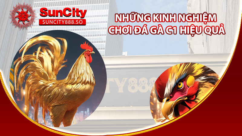 Những kinh nghiệm chơi đá gà c1 hiệu quả