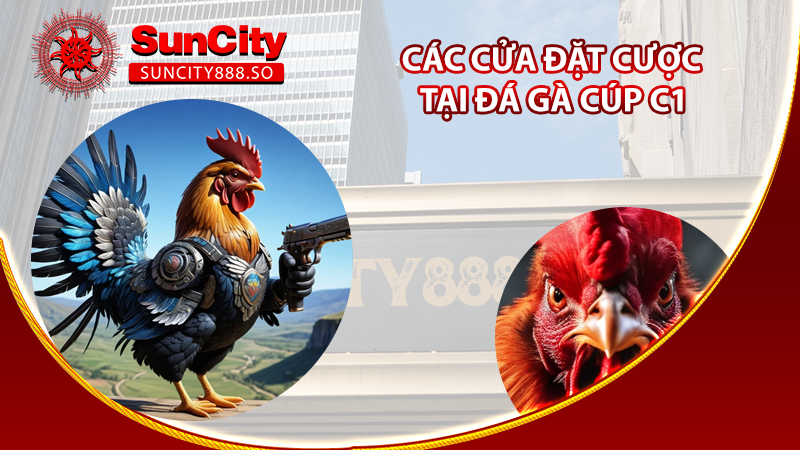 Các cửa đặt cược tại Đá gà cúp c1