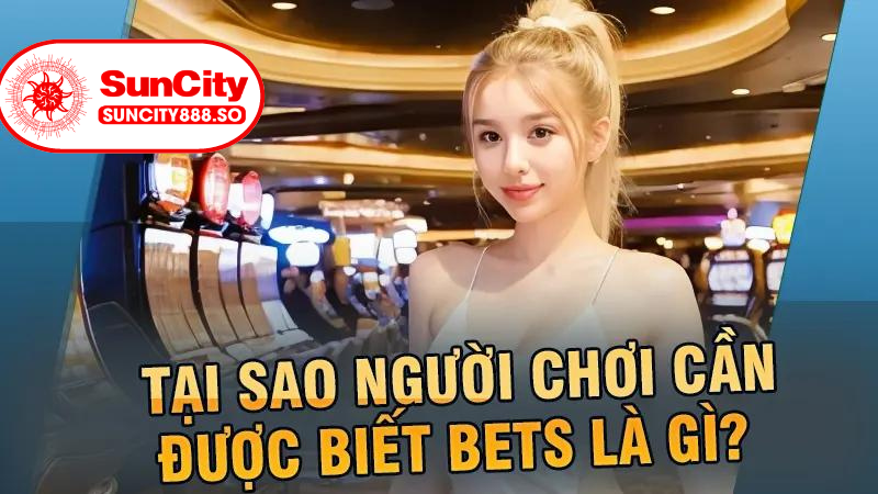 Tại sao người chơi cần được biết bets là gì? 