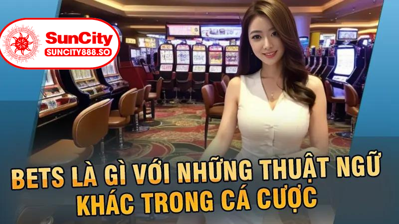 Bets là gì với những thuật ngữ khác trong cá cược